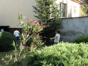Lenže, kým sa tie buchty upečú, to si ešte počkáme! Zatiaľ  zasa niečo  vymyslíme na večer. Však  uvidíme...