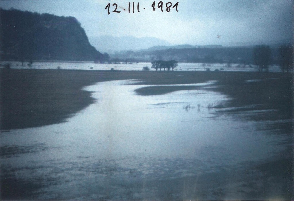 12,3,1981