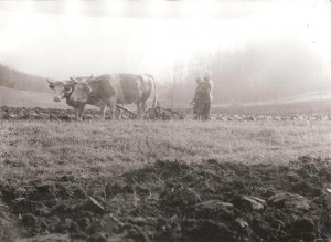 Petrova Lehota 1967 (3)