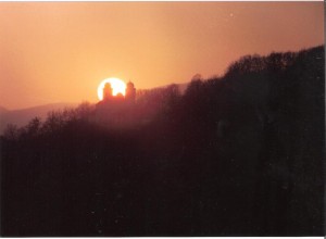 Zátišie (1)