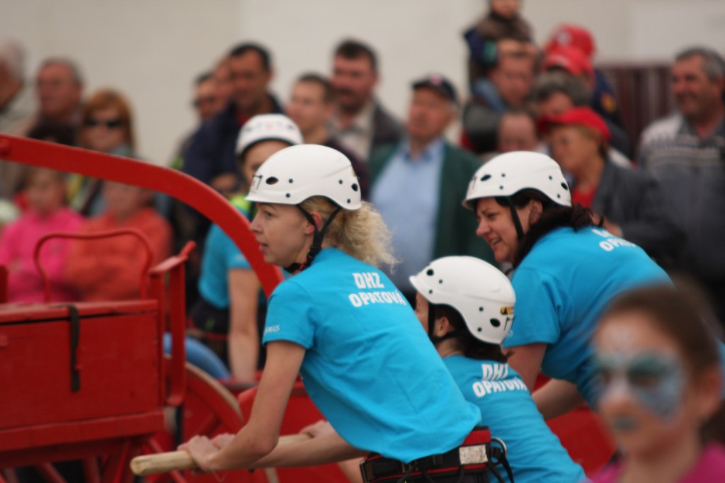 Fireco Trencin 2013 s DHZ Opatova (29)