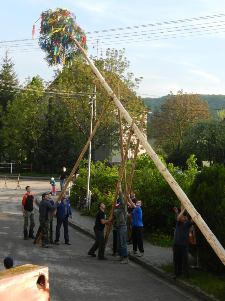 Stavanie maja 30.4.2014 foto A. Mihalova (8)