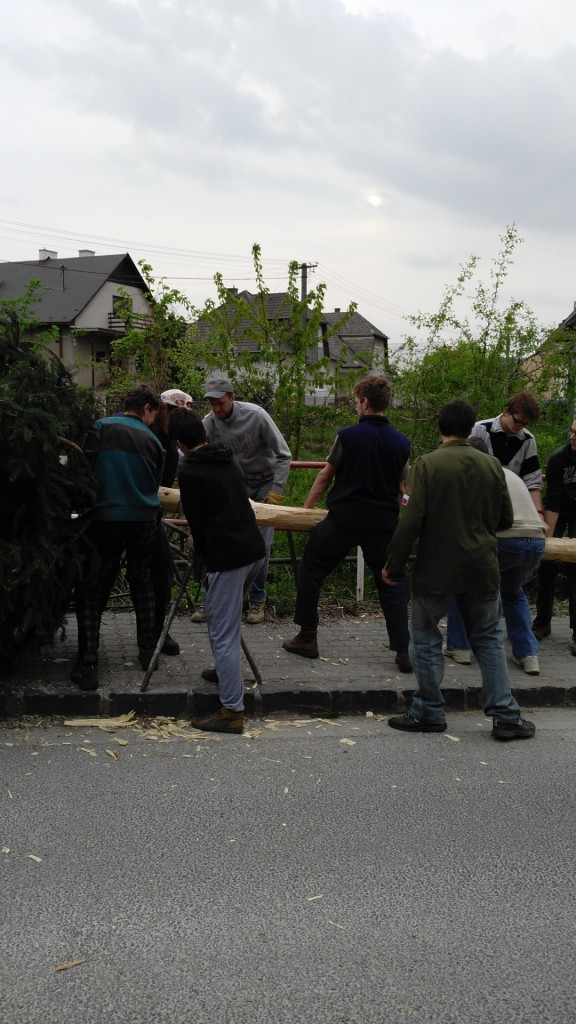 2Stavanie maja 30,4,2015 M.H (6)