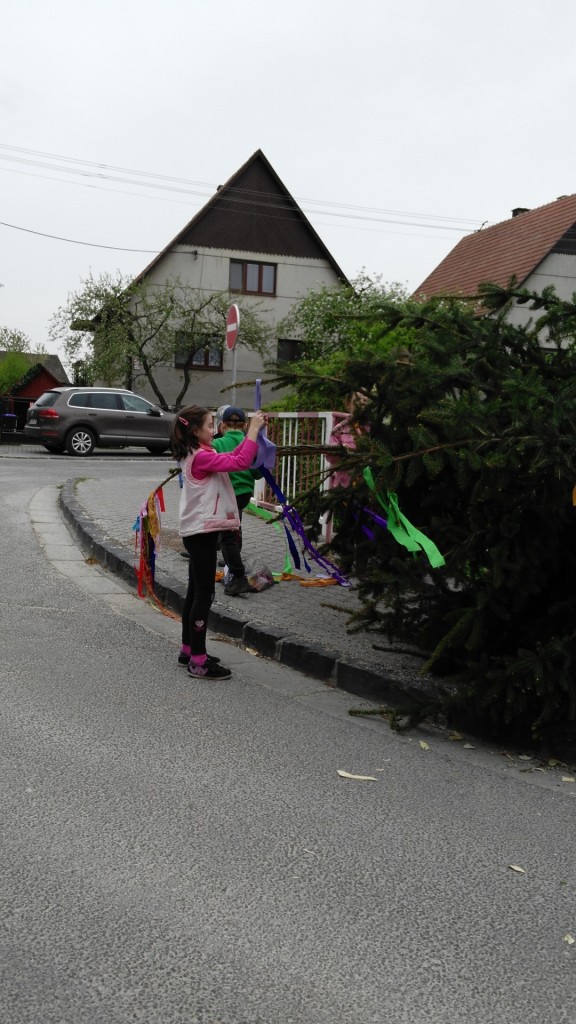 2Stavanie maja 30,4,2015 M.H (8)