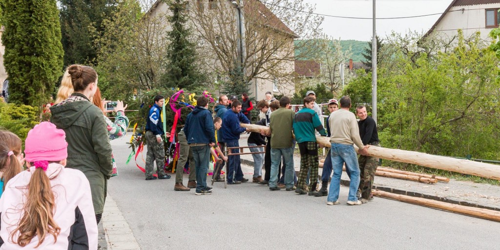 Stavanie maja 30,4,2015 A.N (13)