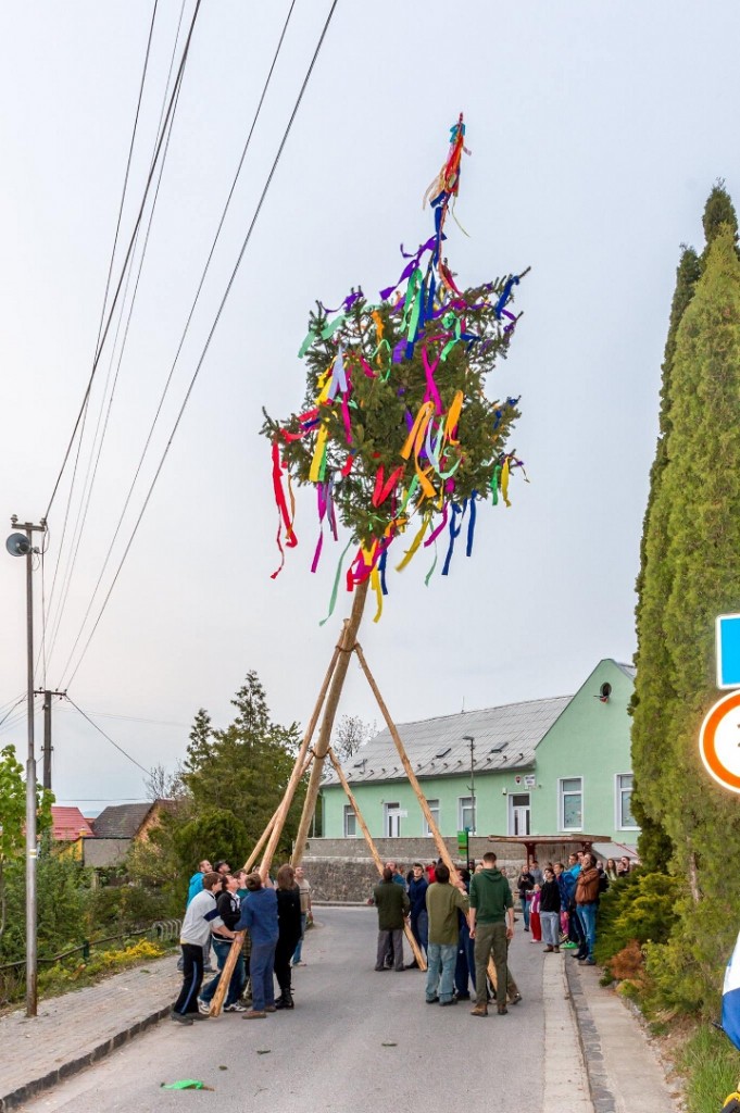 Stavanie maja 30,4,2015 A.N (17)