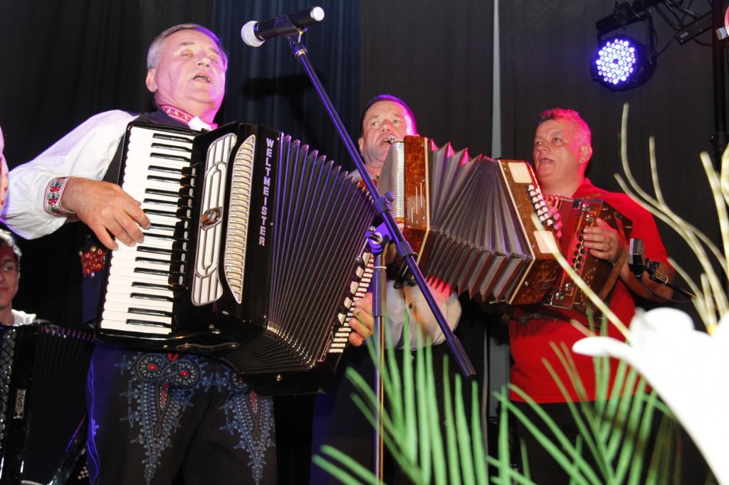 Opatovska harmonika 30.10.2015 J. K   (37)