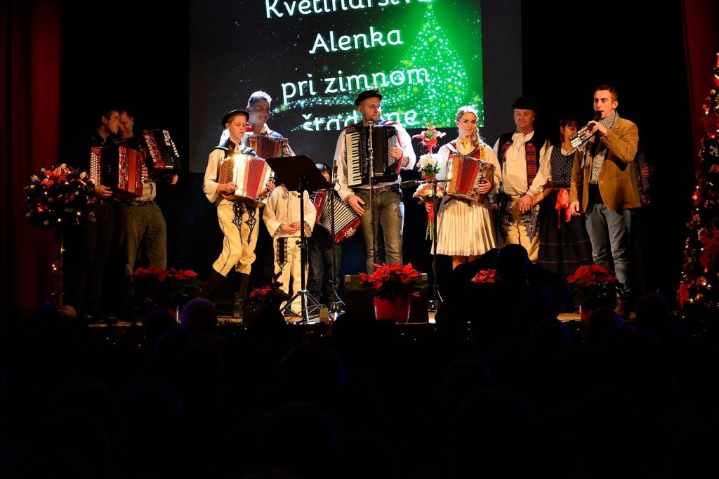Opatovska harmonika 2 (39)