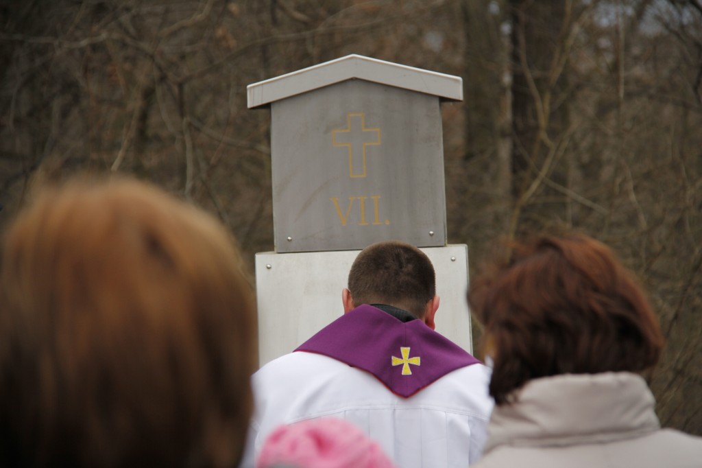 Far. kriz, cest. 14.2.2016 Skalka J.H  (46)