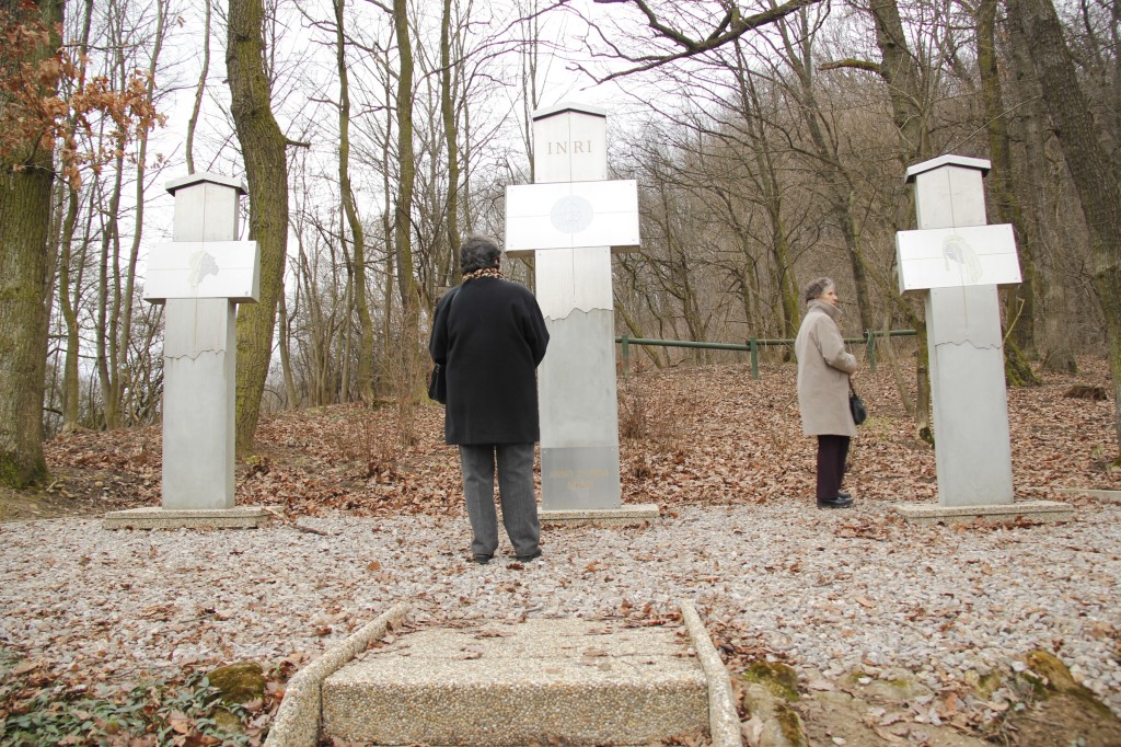 Far. kriz, cest. 14.2.2016 Skalka J.H  (51)