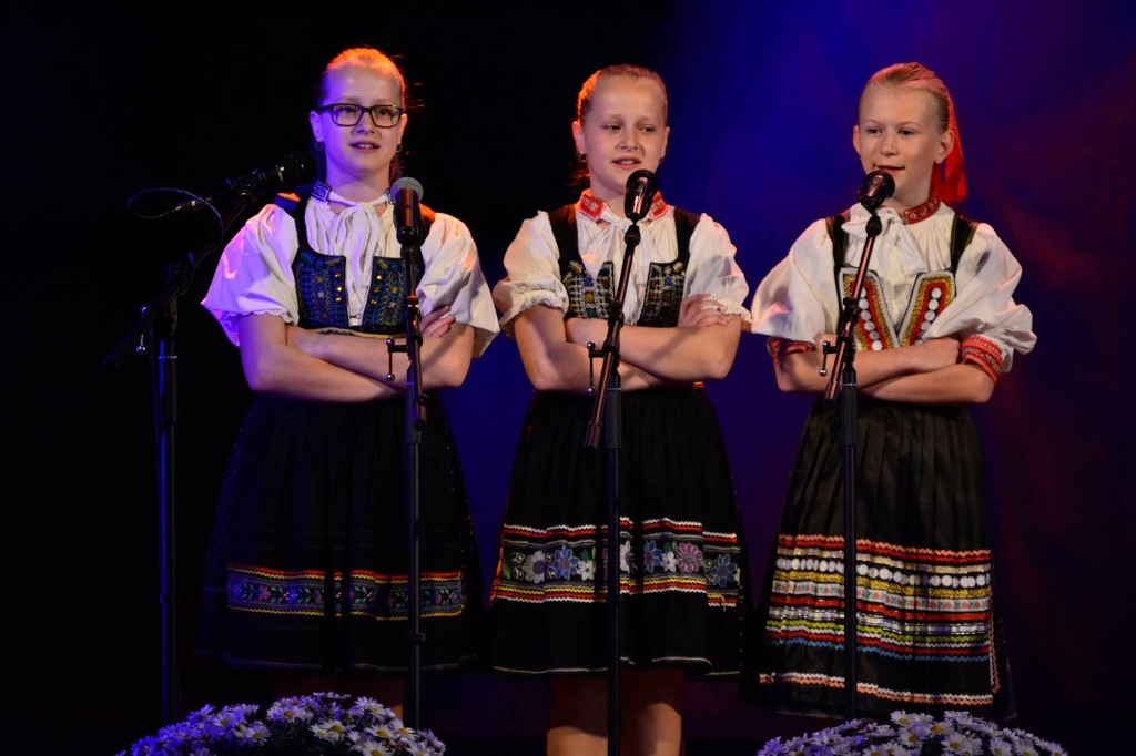 Opatovska harmonika 4 8.5.2016 r. Š (149)