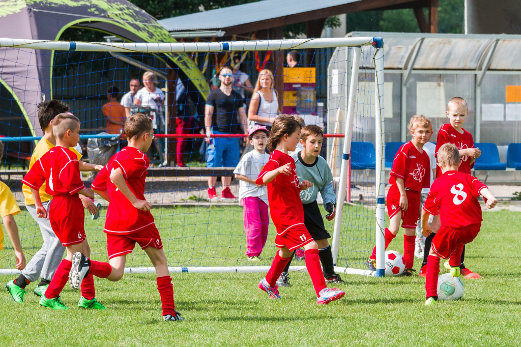 Olympiada malotriednych skol 2016 opatova 2016 (136)