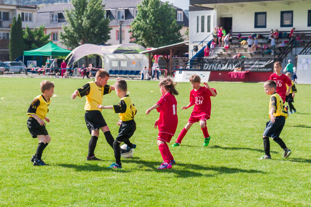 Olympiada malotriednych skol 2016 opatova 2016 (228)