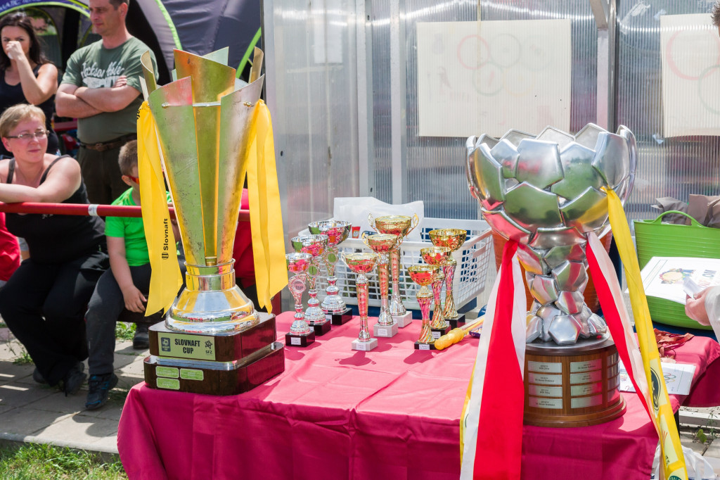 Olympiada malotriednych skol 2016 opatova 2016 (329)