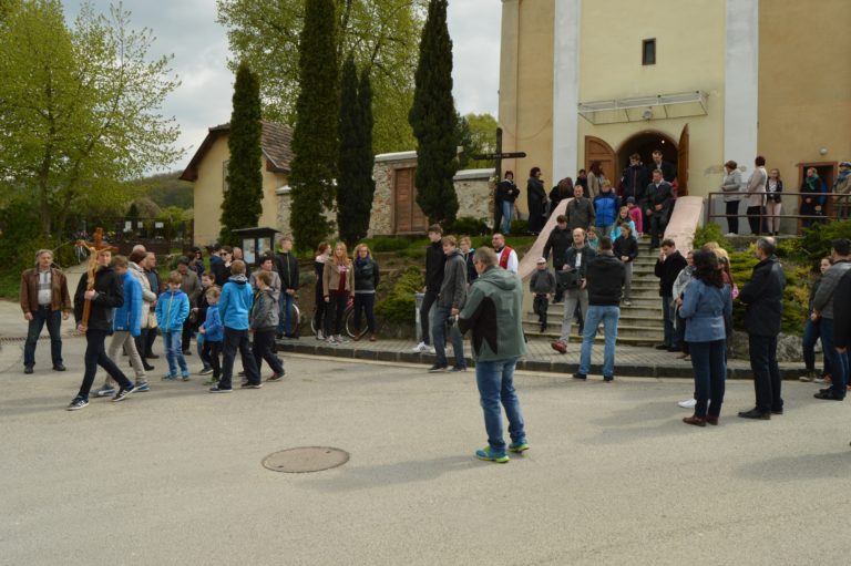 2Krizova cesta 14. 4. 2017 D. H (3)