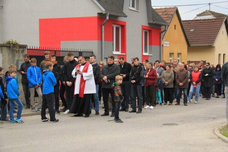31Krizova cesta 14. 4. 2017 (26) J. K