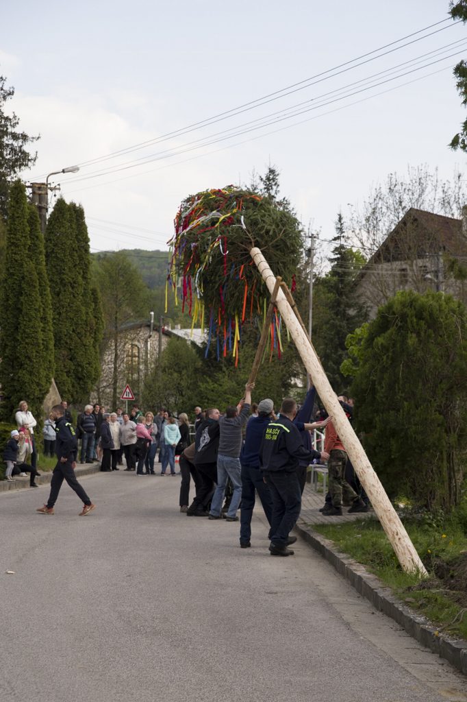 Stavanie maja 30. 4. 2017 D. R (23)