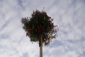Stavanie maja 30. 4. 2017 D. R (37)